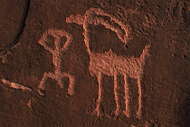 Indian Petroglyphs with human figure and Bighorn sheep, San Juan River, Utah, USA, 1993