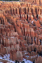 Silent City sandstone hoodoo formations in winter with snow, Bryce Canyon NP, Utah, USA