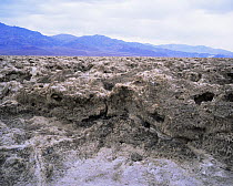Devil's Golf Course crystallized salt formation, Death Valley, California, USA