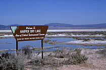 Harper Dry Lake with water - Area of Critical Environmental Concern, California, USA