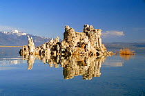 Tufa limestone rock formations at edge of Mono Lake, Inyo National Park, California, USA
