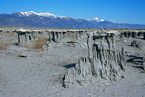 Tufa limestone rock formations at edge of Mono Lake, Inyo NP, California, USA
