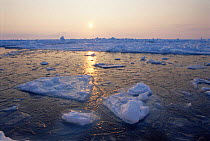 Low spring sun over breaking pack ice, Lancaster Sound, Canadian Arctic