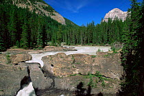 Natural rock bridge caused by water erosion, Yoho National Park, British Columbia, Canada