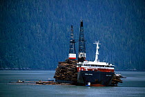 Loading logs on Hadia Brave with tugboats, logging industry, Stewart Harbour, British Columbia, Canada