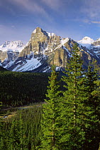 Valley of the Ten Peaks, Banff National Park, Alberta, Canada