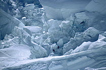 Climbers Reinhold Messner and Peter Habeller dwarfed by Khumbu icefall block. Mt. Everest, Himylayas, Nepal