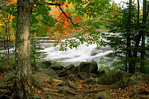 Bond Falls with autumn foliage, Michigan, USA