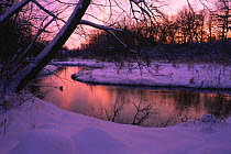 Frosty early morning river landscape in Winter, Souppernorf Creek, Wisconsin USA