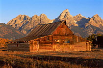 Historic old barn at Moulton Range, Grand Teton National Park, Wyoming, USA