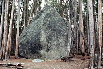 Rock left by glacier movement - glacial erratic, Yellowstone National Park, Wyoming, USA