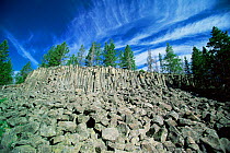Columnar basalt rock formations, Sheepeater Creek, Yellowstone NP, Wyoming, USA