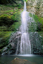 Waterfall at Hoh Rain Forest, Olympic NP, Washington, USA