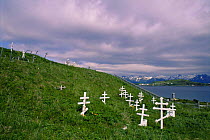 Russian Orthodox grave sites, Dutch Harbour,  Aleutian Islands, Bering Sea, Alaska, USA