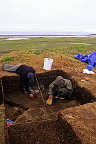 Students on Aleut dig, Michigan University, Cold Bay, Bering Sea, Alaska USA