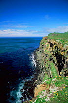 The West cliffs bird breeding area, St Paul, Pribilof Islands, Bering Sea, Alaska, USA