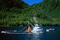 Boats fishing in coastal waters, purse Seine fishing for salmon, Alaska, USA