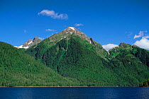 Coastal habitat, wooded mountains, Alaska, USA