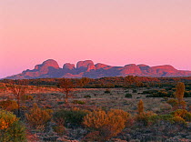 Sunset on southern section of domes of Kata Tjuta (Olgas) Uluru-Kata Tjuta NP Northern Territory T Australia