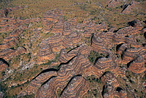 Aerial view of Bungle Bungle range, eroded sandstone domes, Purnululu NP W Australia - beehive structures with bands of clay, algae and iron