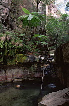 Waterfall within Carnarvon Gorge NP, Queensland, Australia, 1991