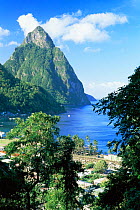 Petit Piton viewed from above Soufriere, St Lucia, West Indies, Caribbean