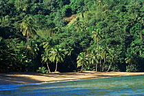 Englishman's Bay landscape, Tobago, West Indies, Caribbean