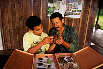 National Park employee Paratoxonomists showing insect to trainee, tropical rainforest, Costa Rica