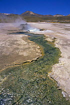 Tatio geysers in highlands, near San Pedro, Northern Chile, South America