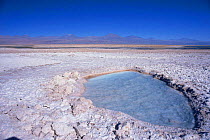 Salar de Atacama landscape with pool and salt flats near San Pedro, N Chile, South America