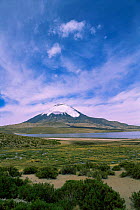 Lake Chungara and Parinacota Volcano landscape, Lauca NP, Chile, South America