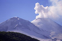 Smoke billowing out from Llaima volcano, Conguillo NP, South Chile, South America