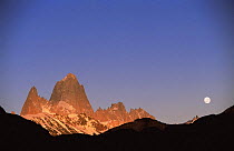 Fitzroy Massif peak at sunset with full moon, Andes, Patagonia, Argentina, South America