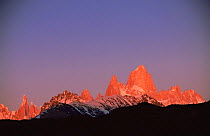 Fitzroy Massif peak at sunset, Andes, Patagonia, Argentina, South America
