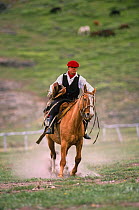 Gaucho on rodeo, breaking in wild horses, Chalten, Fitzroy, Patagonia, Argentina