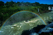 Iguazu Falls with rainbow, from Brazilian side, border of Brazil & Argentina South America