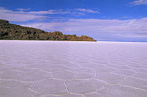 Formation of polygons on surface of Uyuni salt pan, South West Bolivia, South America