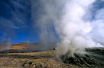 Sol de Manana fumeroles at 4850 metres, Altiplano region, Bolivia, South America
