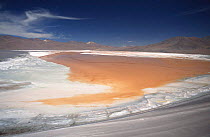 Aerial view of Lago Colorado at 4200m altitude, red colour is dinoflagellates, the white is salt, Bolivia, South America