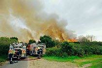 Fire engines attending heath land fire, Westleton, Suffolk, U