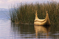 Totora reed fishing boat, typical of Lake Titicaca, Bolivia, South America craft