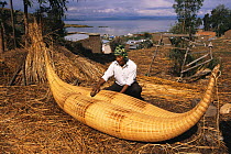 Man building a Totora reed fishing boat, typical of Lake Titicaca, Bolivia, South America