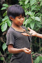 Mayoruna Indian child holding a gecko, Amazon Basin, Peru, South America