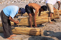 Building traditional fishing craft, Caballito de Tortora, Huanchaco, Trujillo, Peru