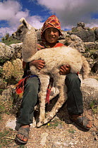 Indian boy with domestic Llama {Lama glama} outside of Cusco, Peru, South America