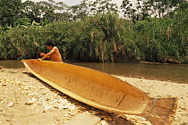 Indian man building a canoe, working with Adze, Ecuadorian Amazon, South America 1994