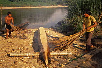 Indian men building a canoe, burning the inside, Ecuadorian Amazon, South America 1994