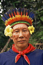 Cofan Indian head portrait, Rio Agua Rico Ecuadorian Amazon, wearing traditional clothing  and feather headress