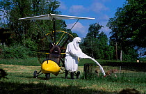 Researcher + microlite in crane costume with Whooping crane chicks, USA. Operation migration