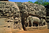 9th century rock carving Mahabalipuram, Tamil Nadu, India